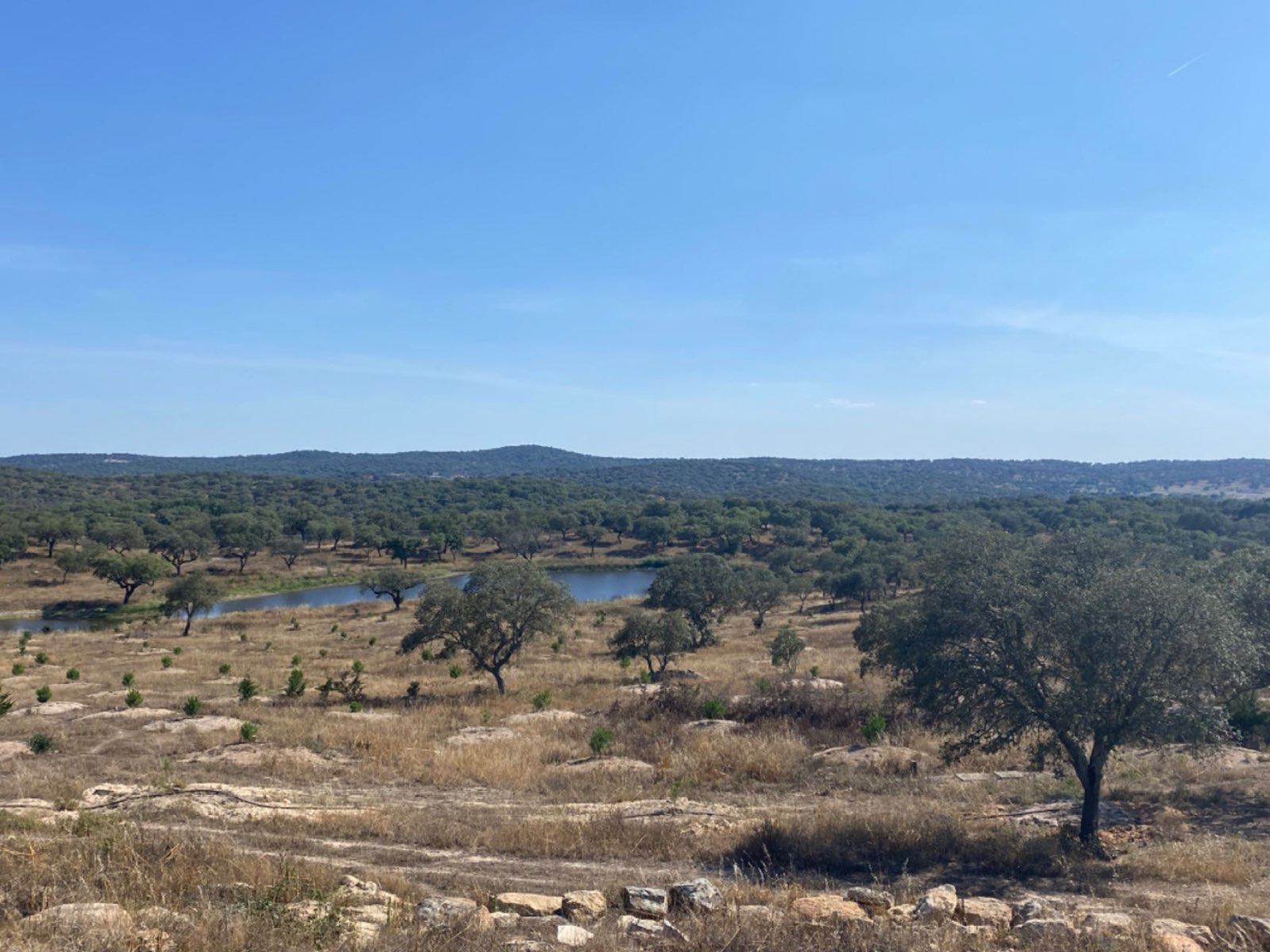 Lakes and landscape